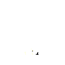 555X